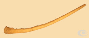 Buxus Sempervivens Drako didgeridoo Bell
