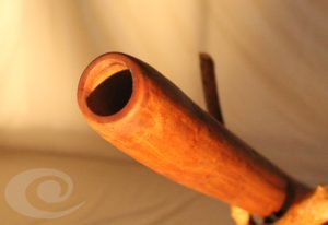 Arbutus Unedo Didgeridoo mouthpiece yrdaki