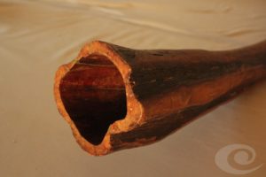 Arbutus Unedo Didgeridoo yrdaki
